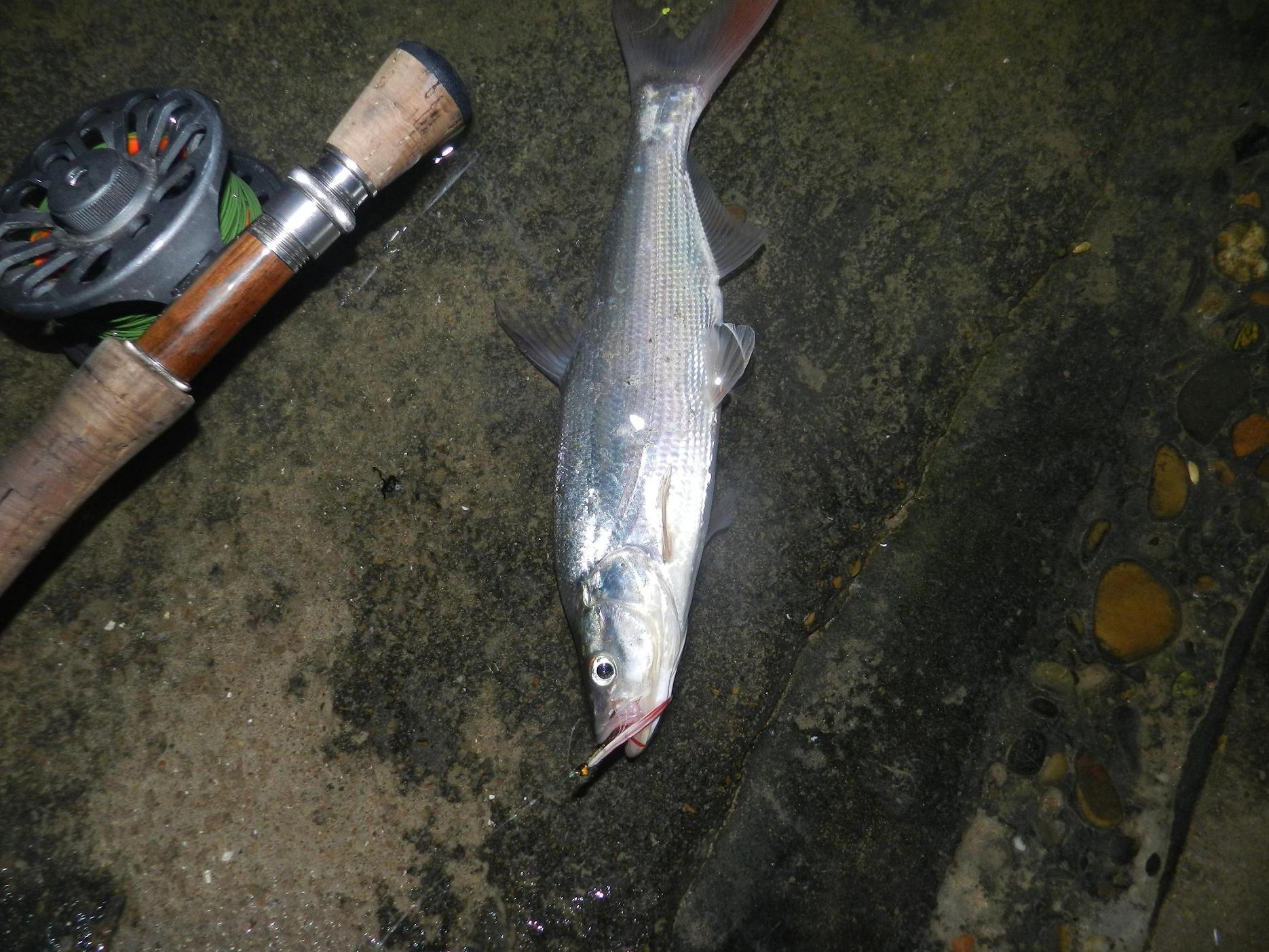 DSCN2024.JPG