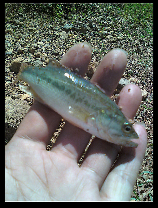 120702_101453g.jpg