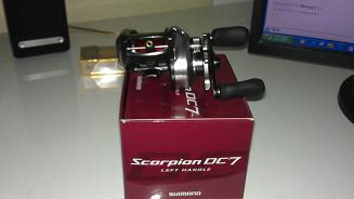 IMAG0230.jpg