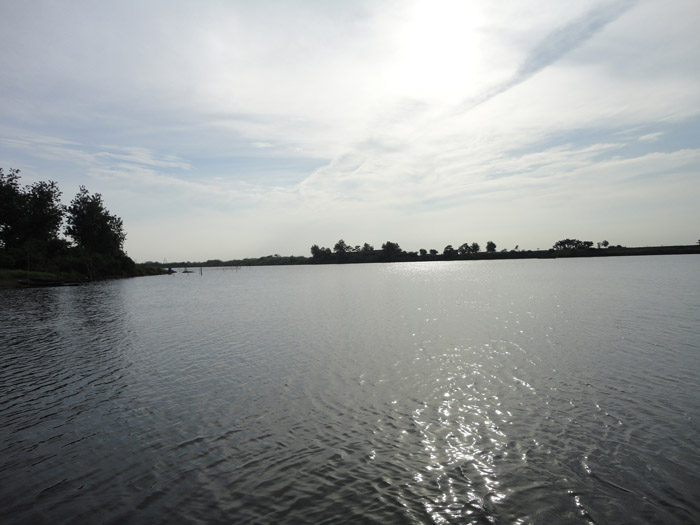 DSC04633.jpg