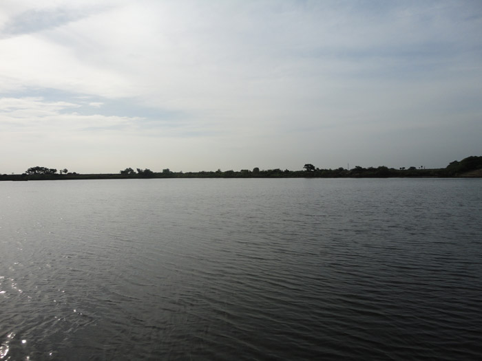 DSC04637.jpg