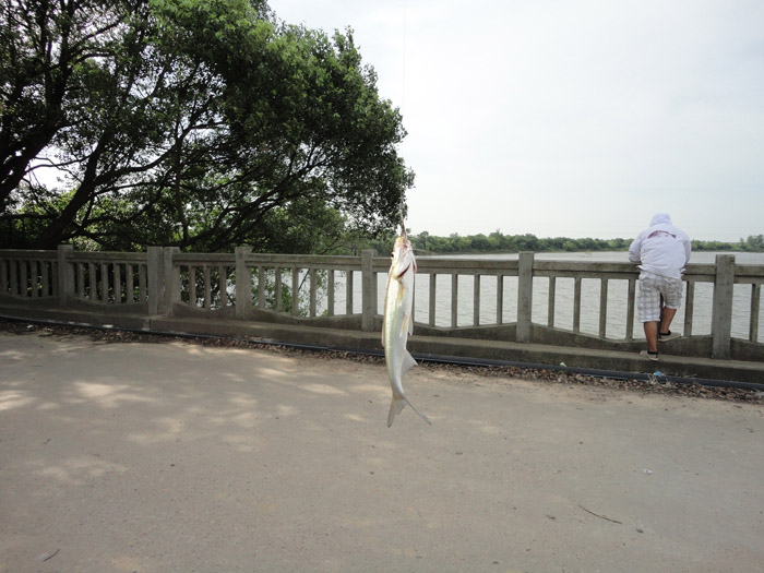 DSC04642.jpg