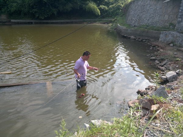 201207021355_СС.jpg