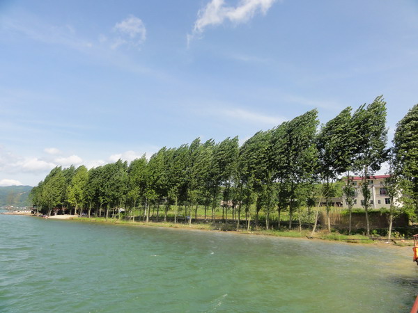 DSC03034_СС.JPG