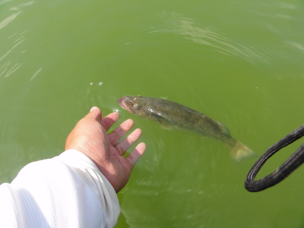 DSC02968_СС.JPG