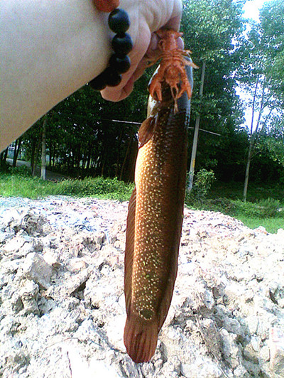 20120711(002)__.jpg