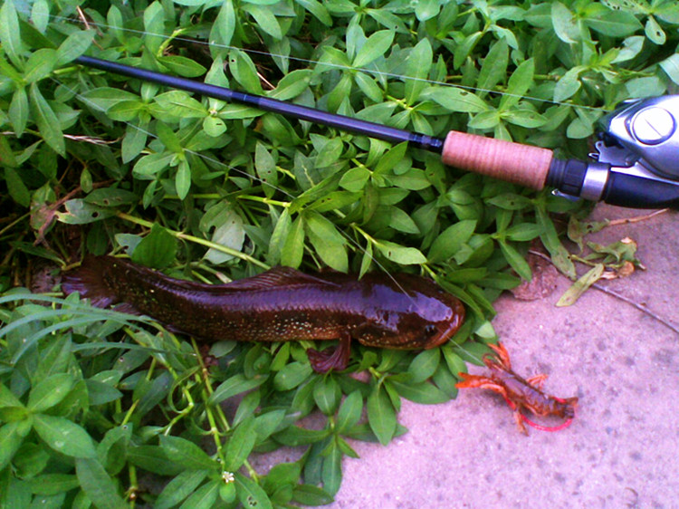 20120711(007)___.jpg