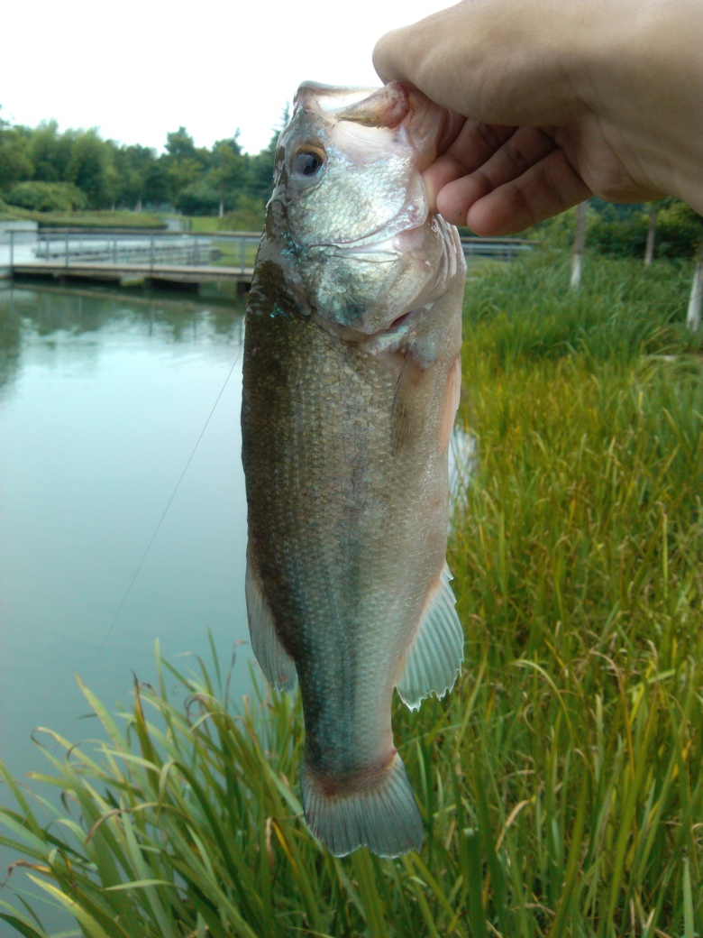 IMG_20120711_135145.jpg