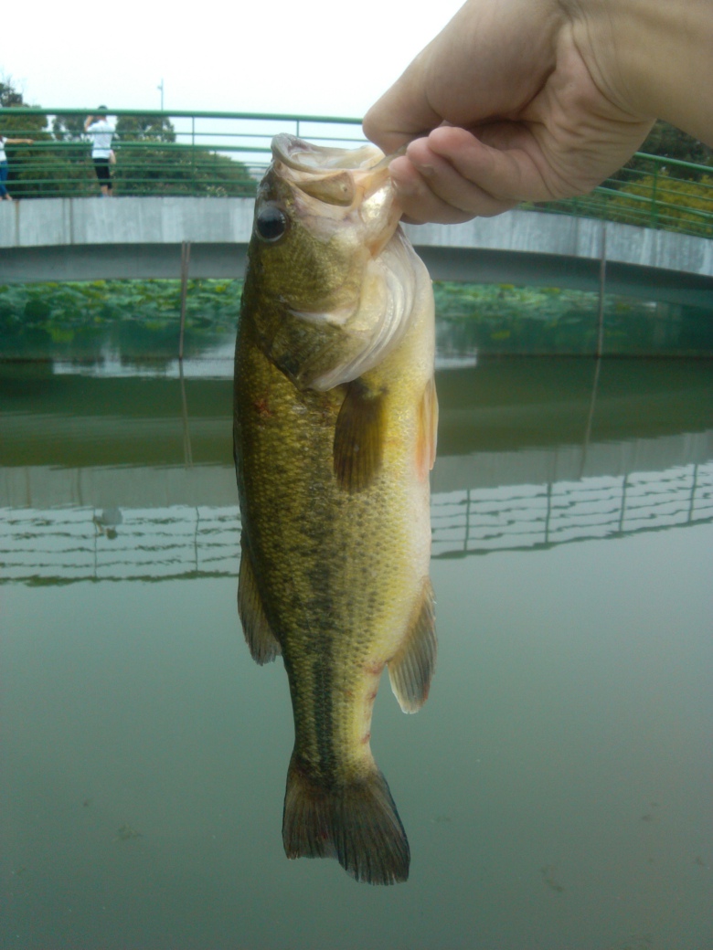 IMG_20120711_141400.jpg
