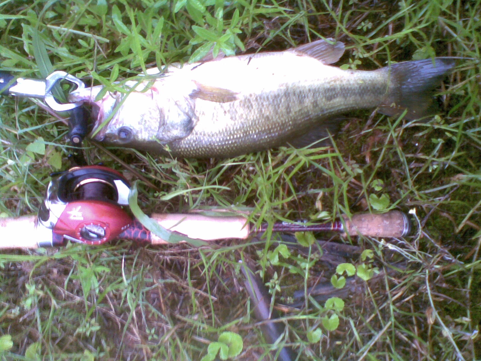 20120524(008).jpg