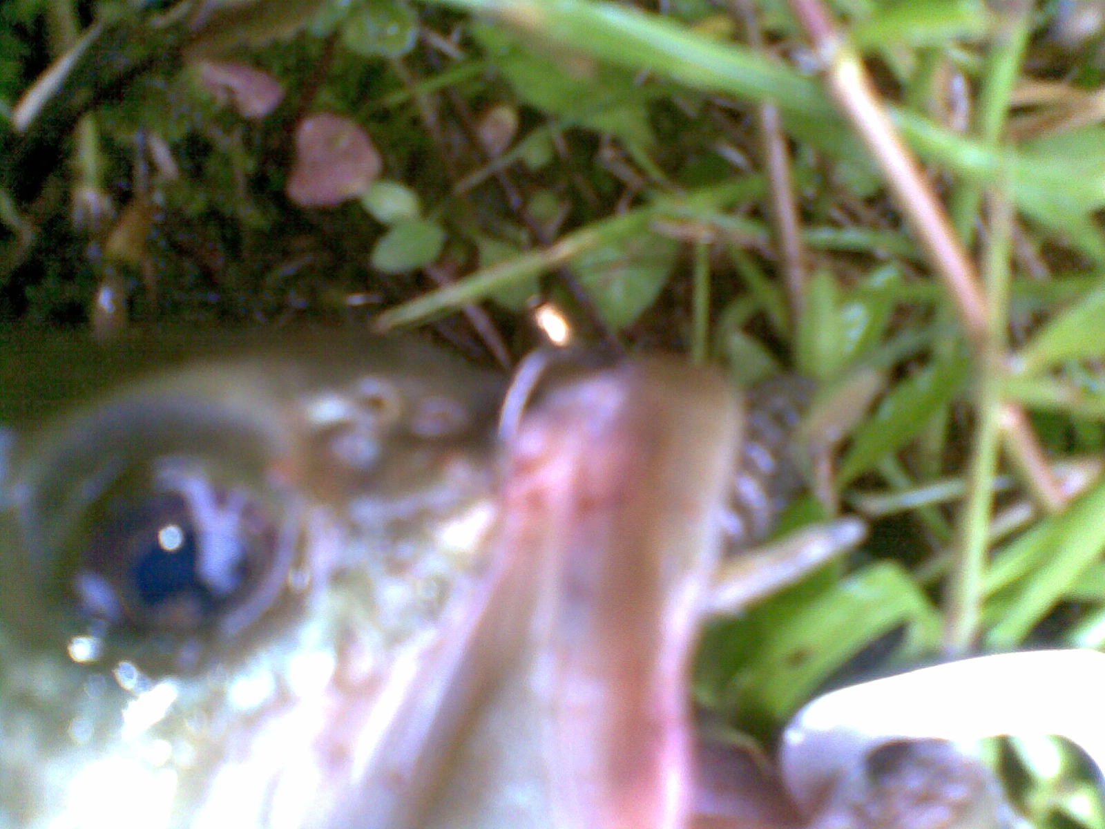 20120524(010).jpg