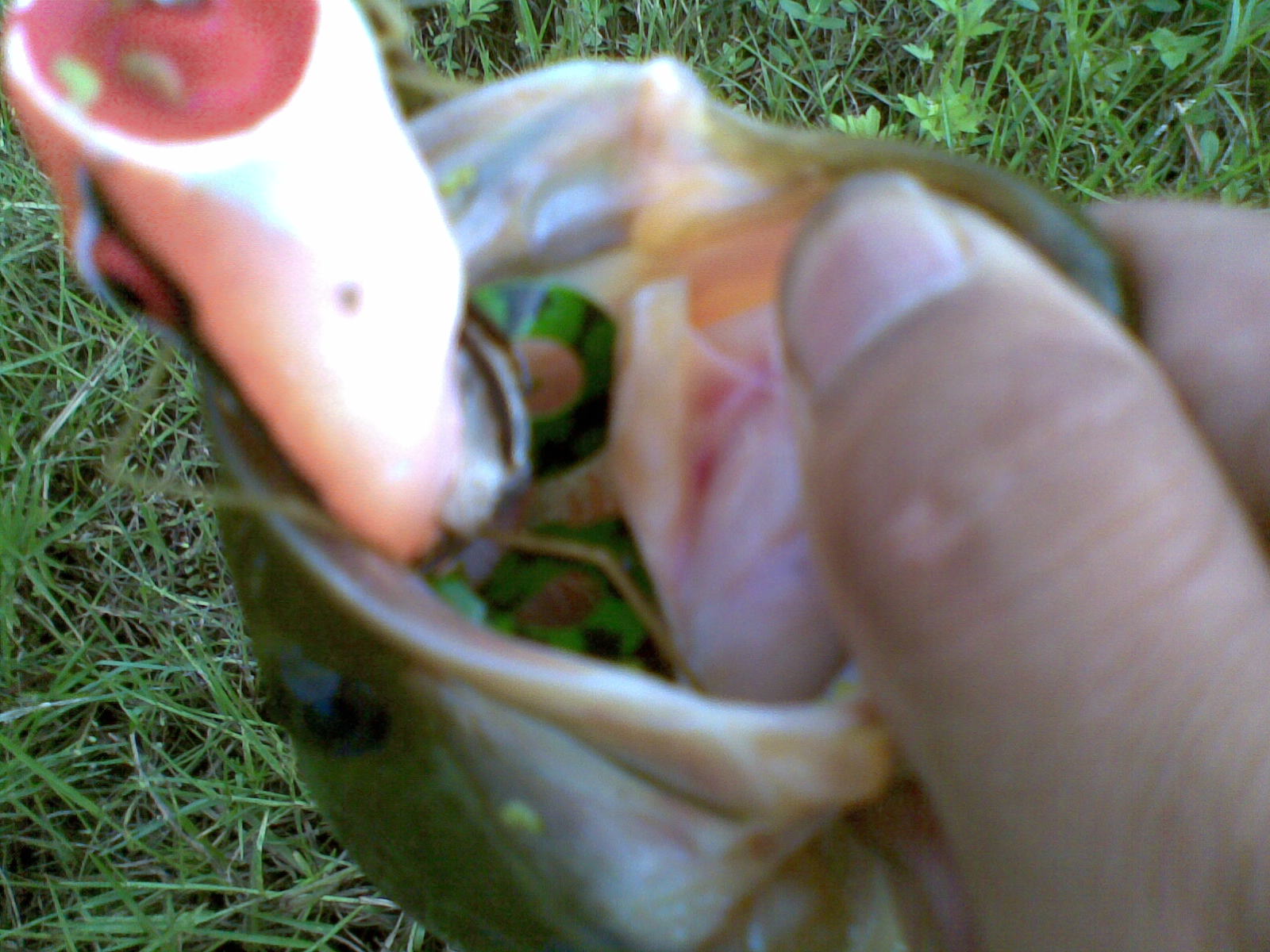 20120529(001).jpg