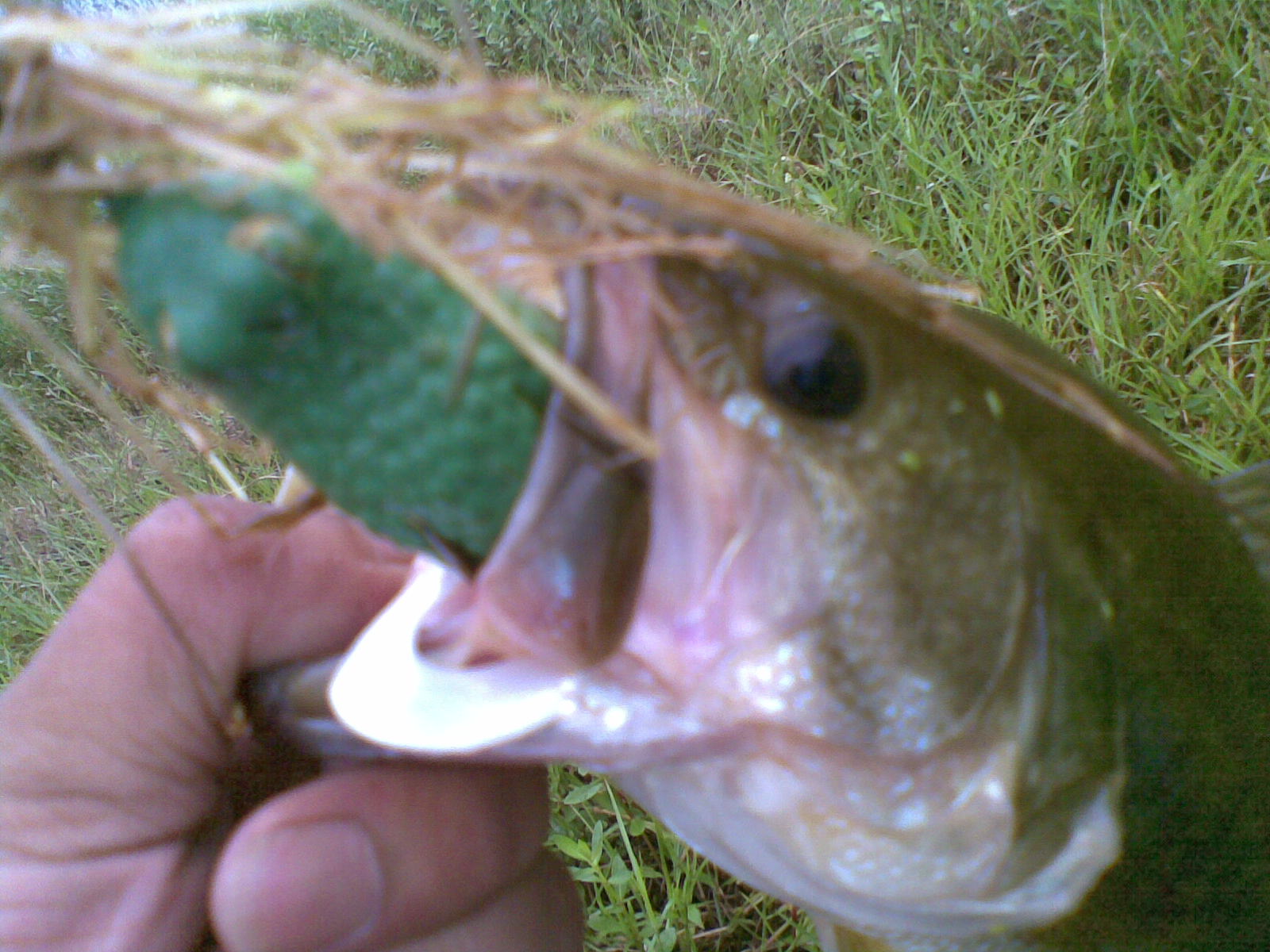 20120529(008).jpg