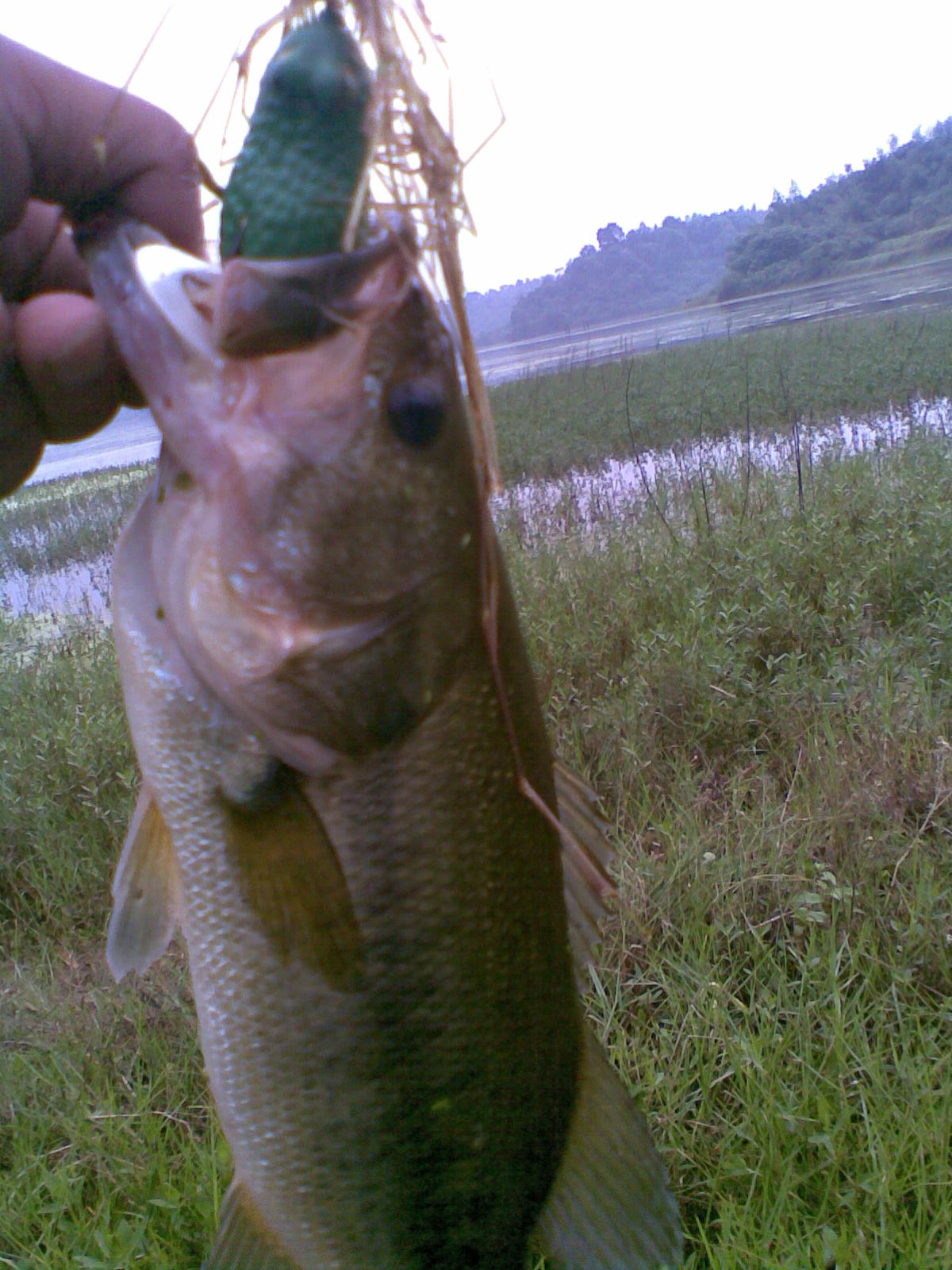 20120529(010).jpg