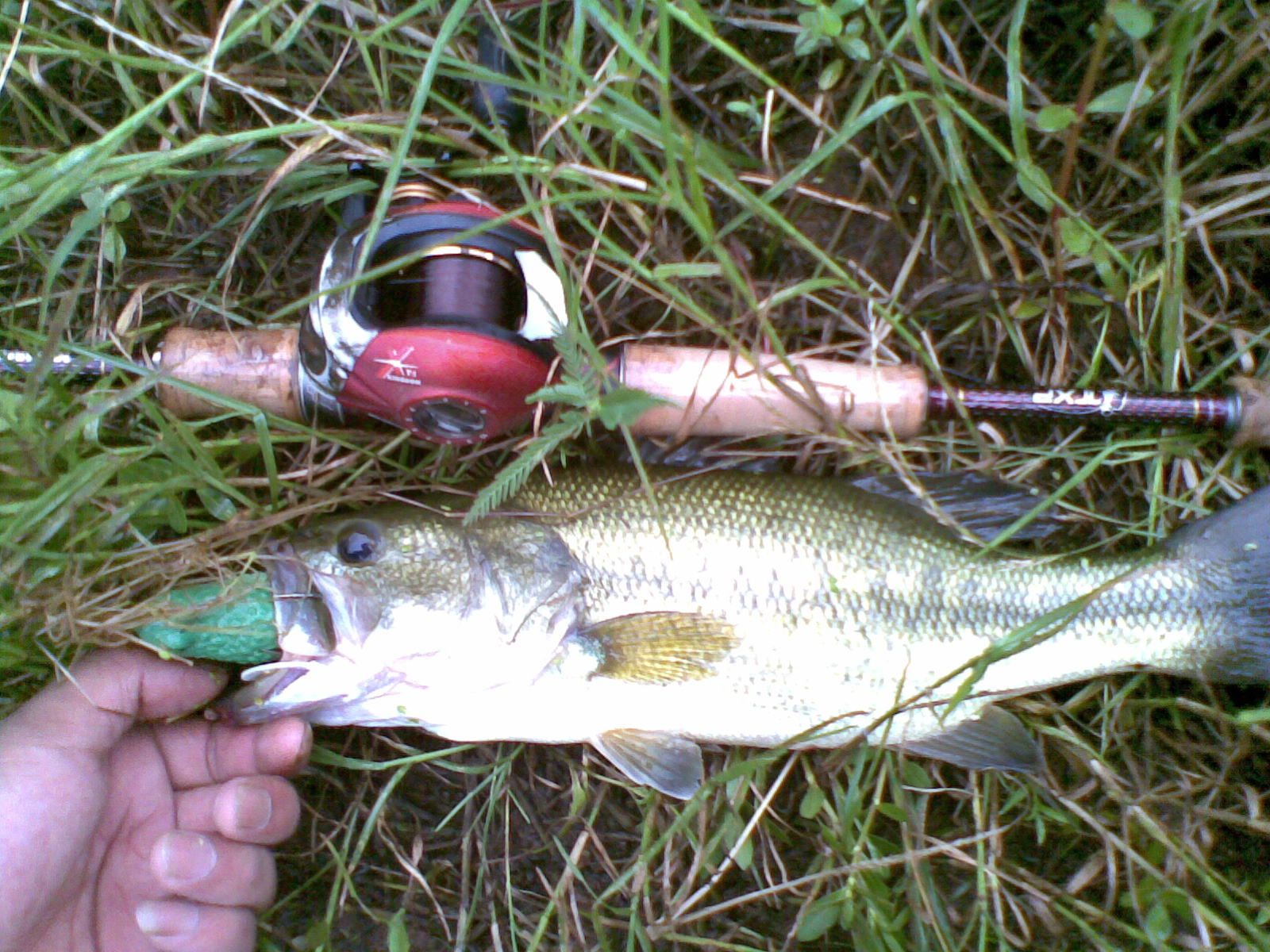 20120529(011).jpg