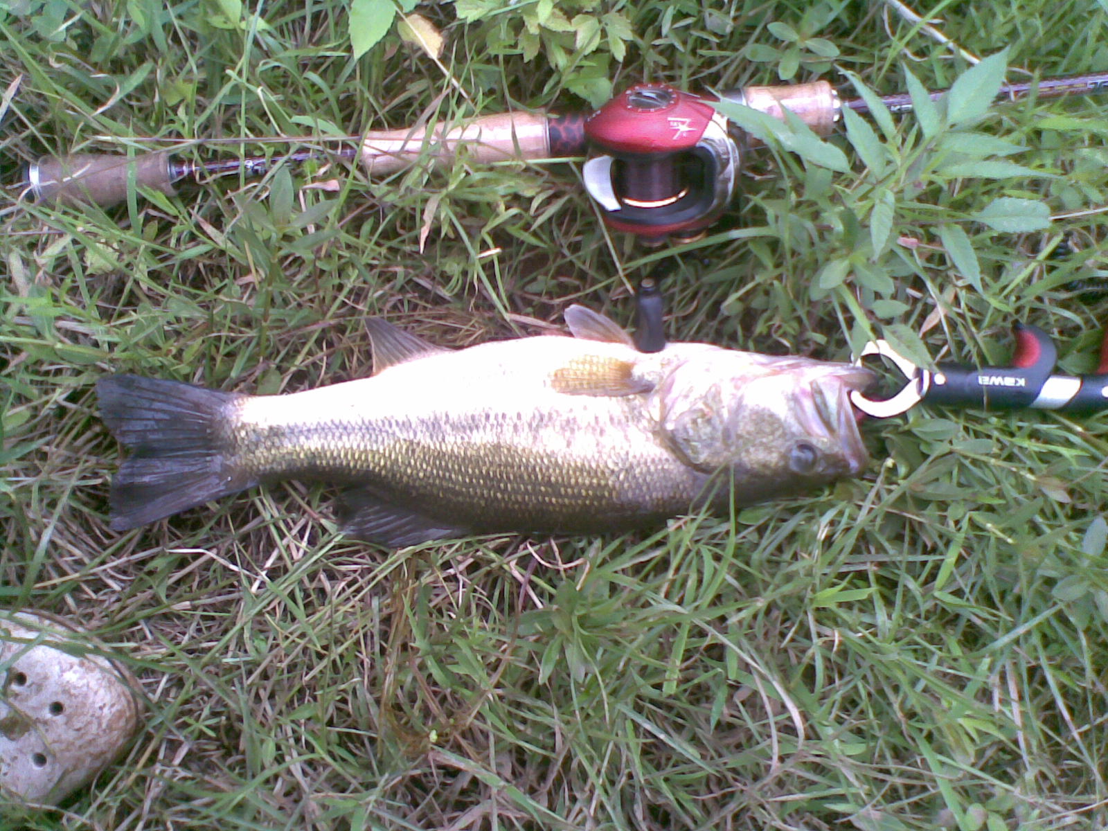 20120603(003).jpg