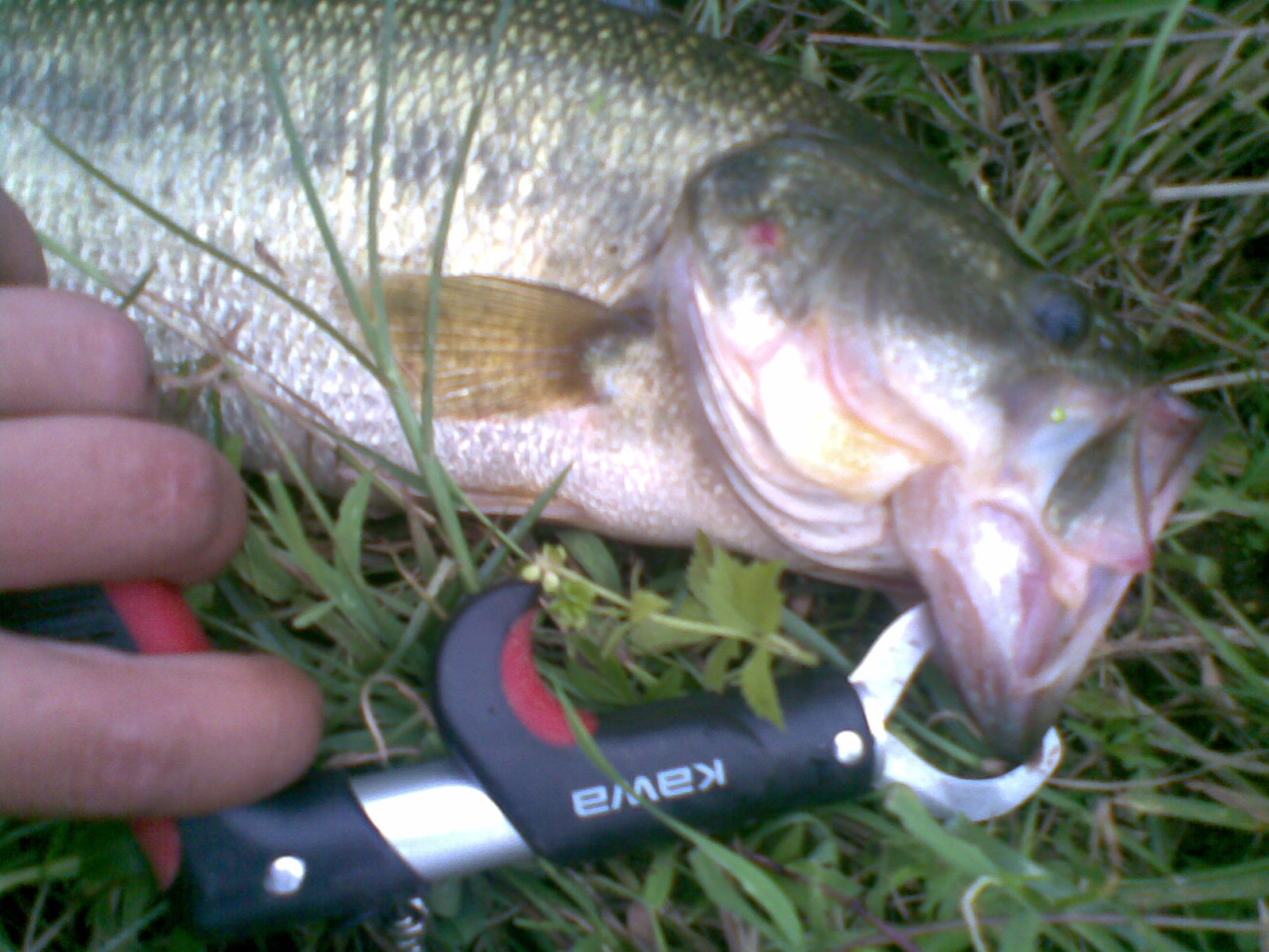 20120603(008).jpg