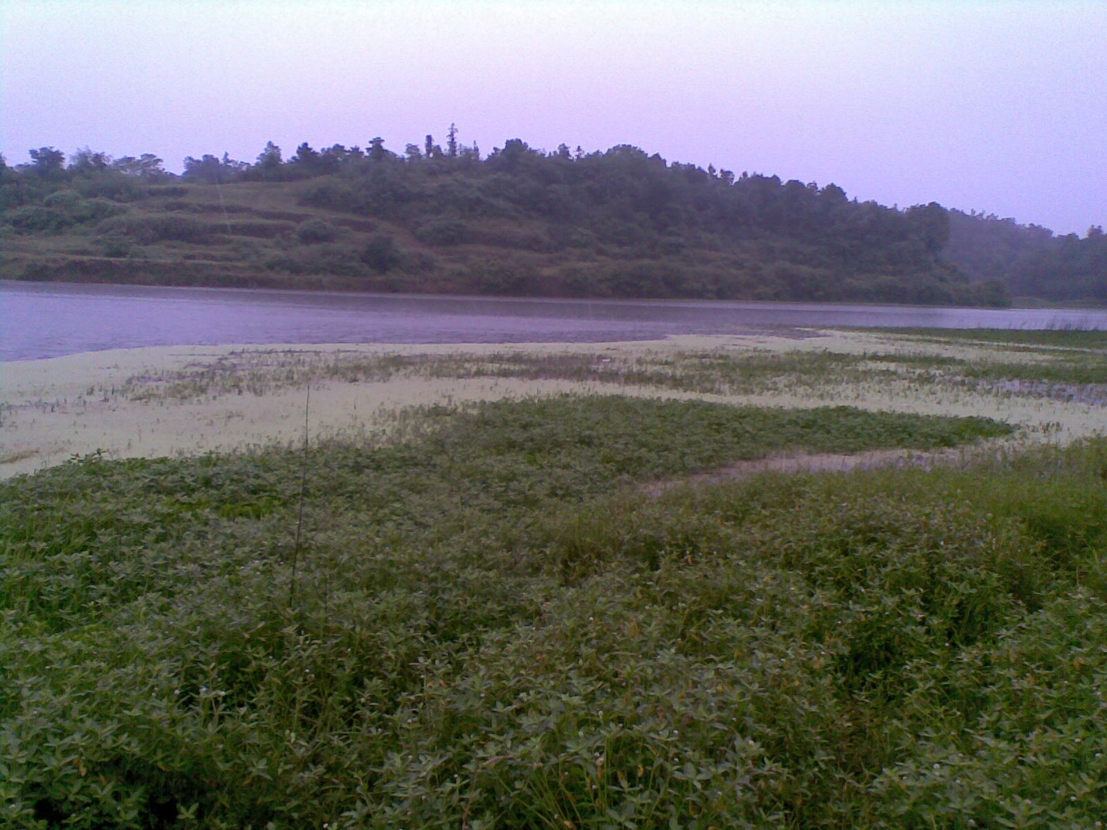 20120603(010).jpg