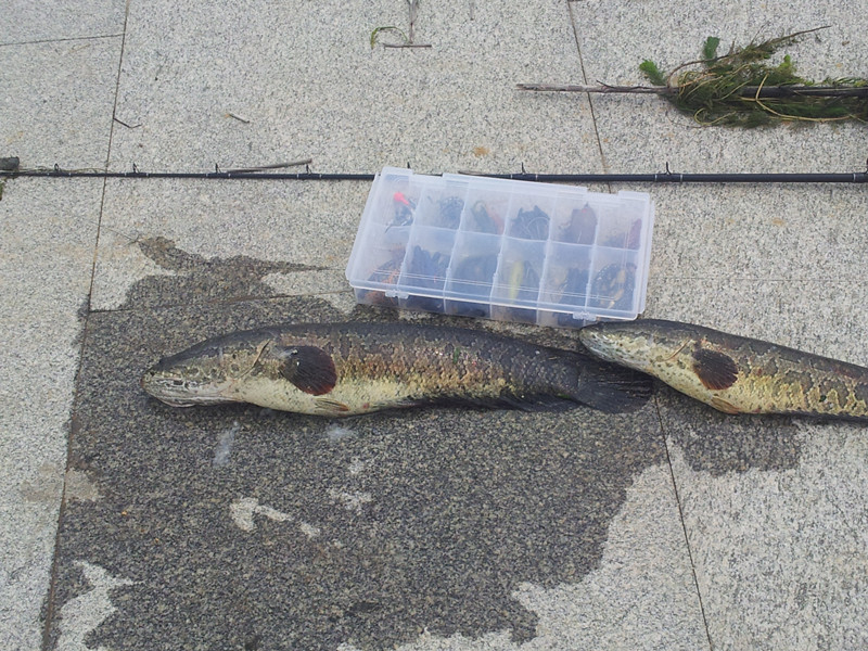 20120719_131537_.jpg