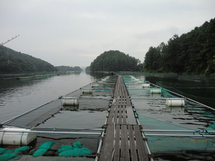 DSC04735.jpg