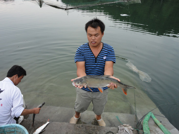 DSC04737.jpg