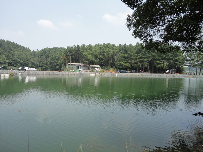 DSC04768.jpg