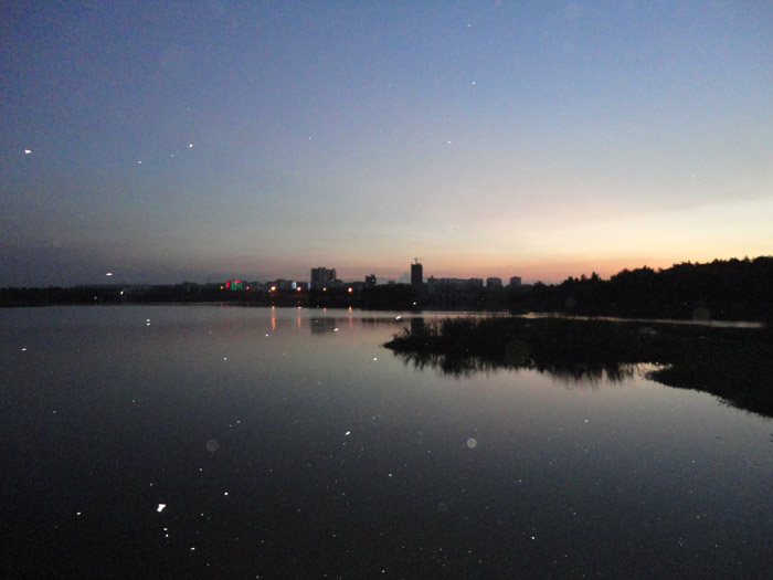 DSC04853.jpg