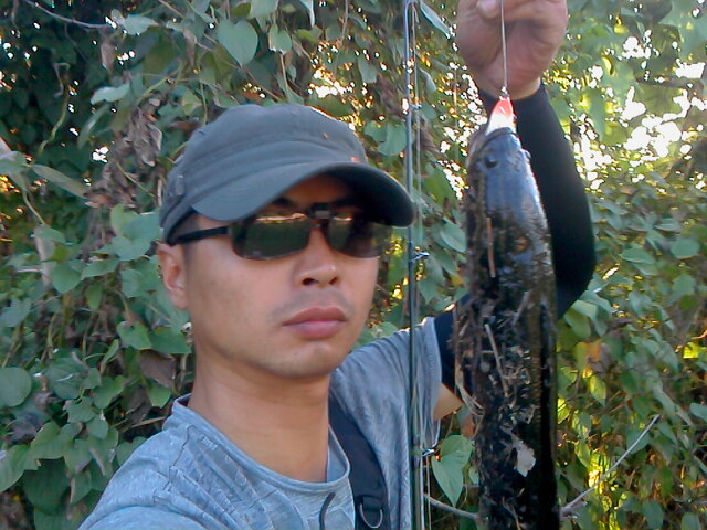 IMG0731175100.jpg