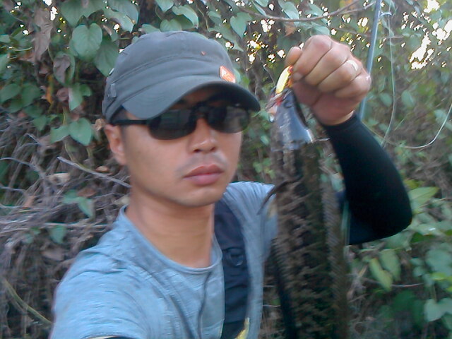 IMG0731182000.jpg