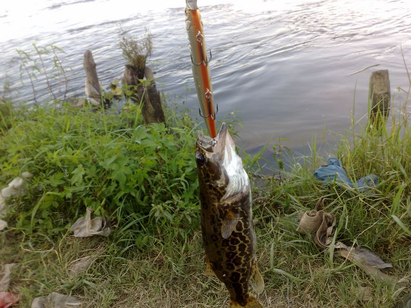 201208011260.jpg