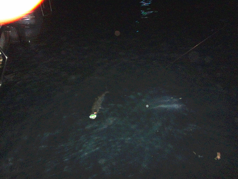 DSC00634_.jpg