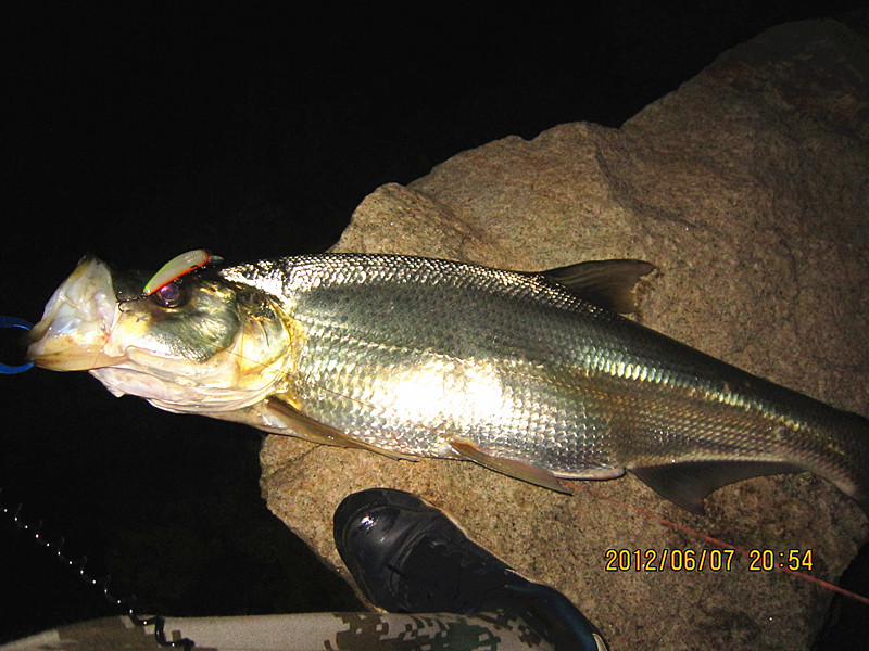 IMG_0009_.jpg