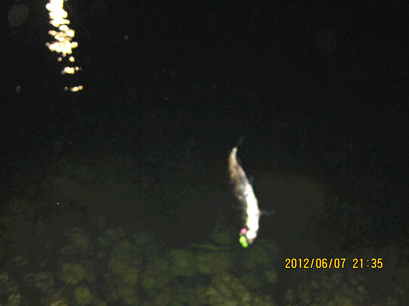 IMG_0014_.jpg