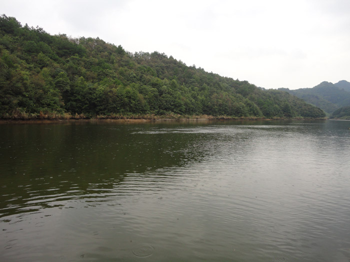 DSC04912.jpg