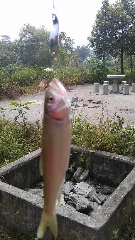 IMAG0276.jpg