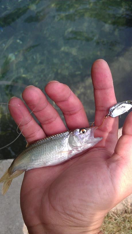IMAG0277.jpg