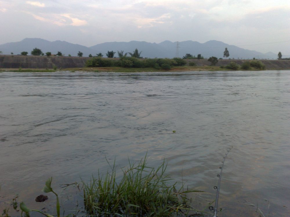 201208051275.jpg