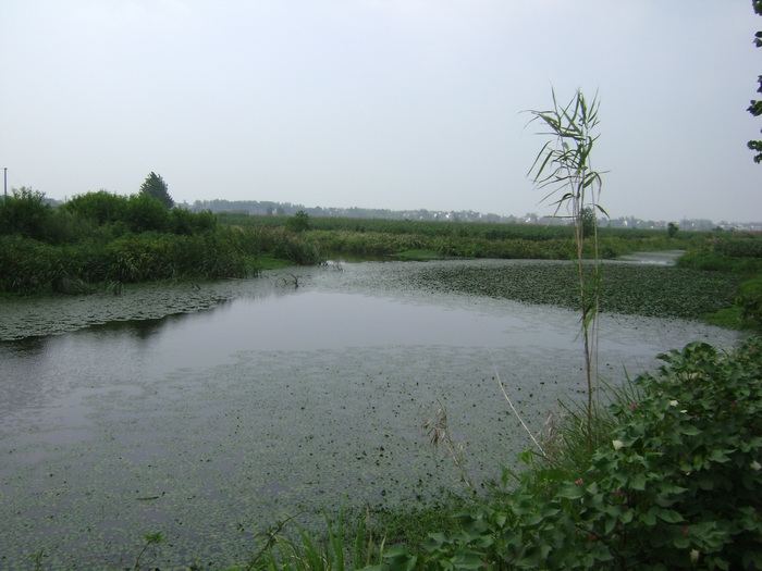 DSC00726.JPG