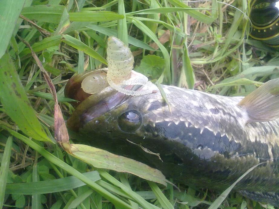 20120517323.jpg