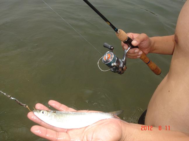 DSC08852.JPG