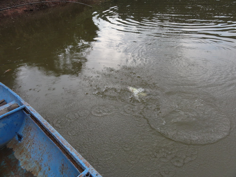 DSC03593_СС.JPG