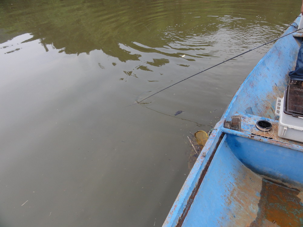 DSC03621_СС.JPG