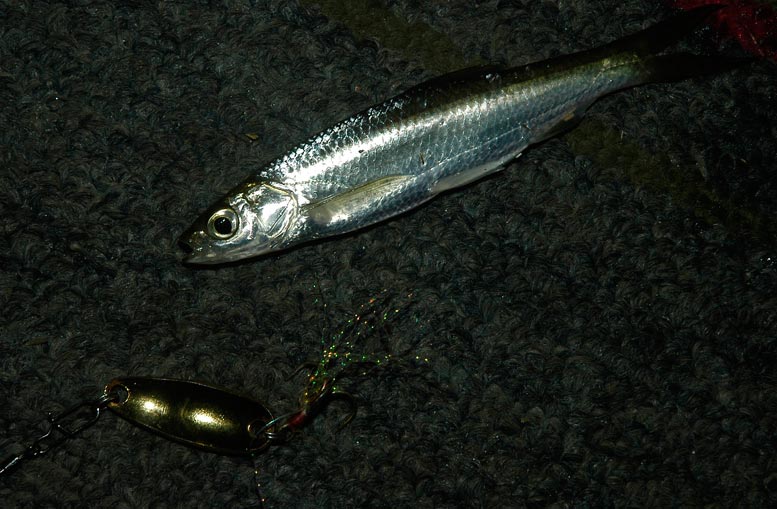 DSC_0292.JPG