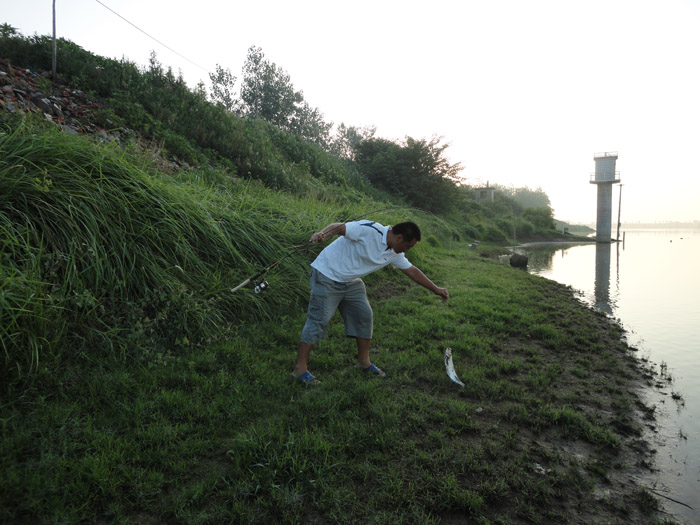 DSC05056.jpg