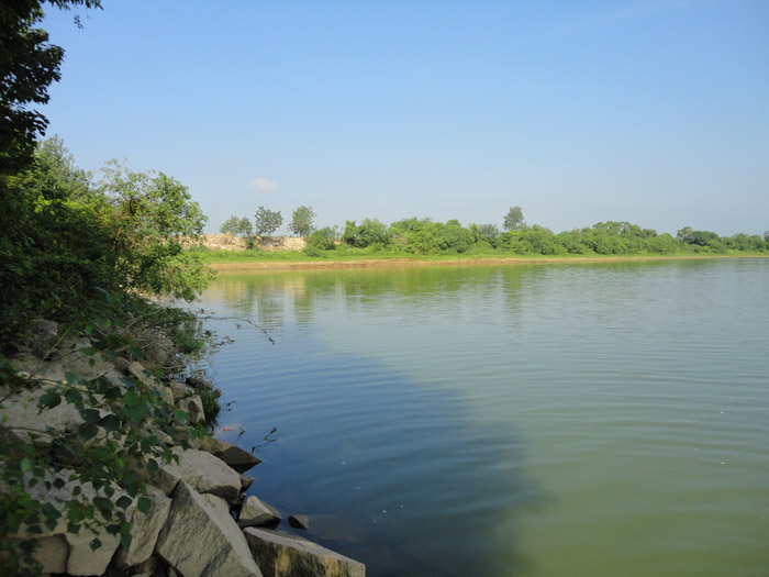 DSC05072.jpg