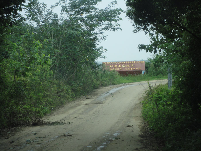 DSC05077.jpg