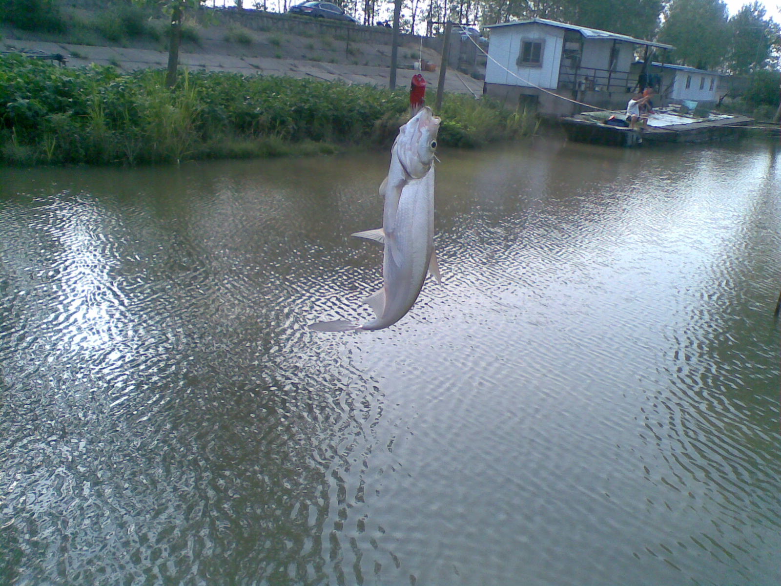 20120819.jpg