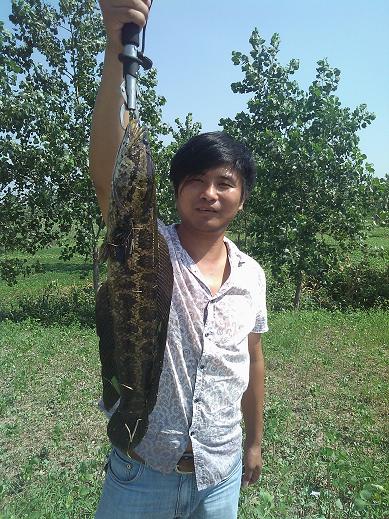 IMG_20120729_093632.jpg