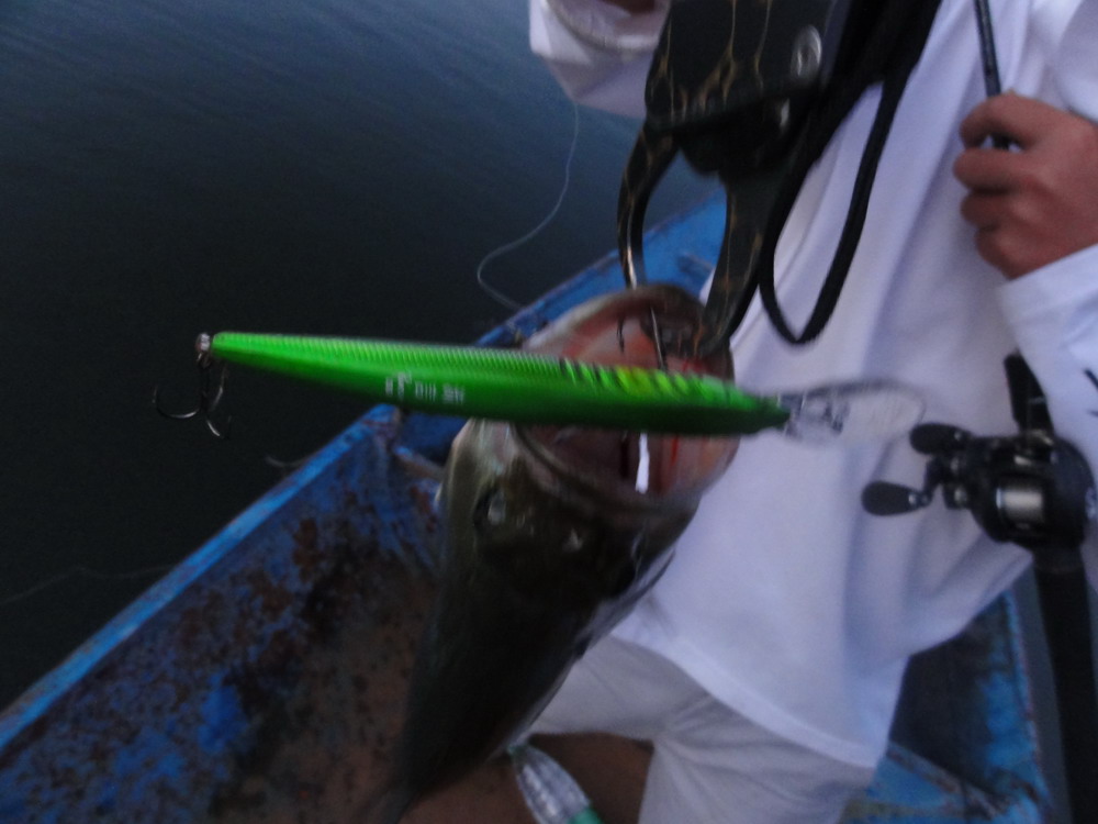 DSC04207_СС.JPG