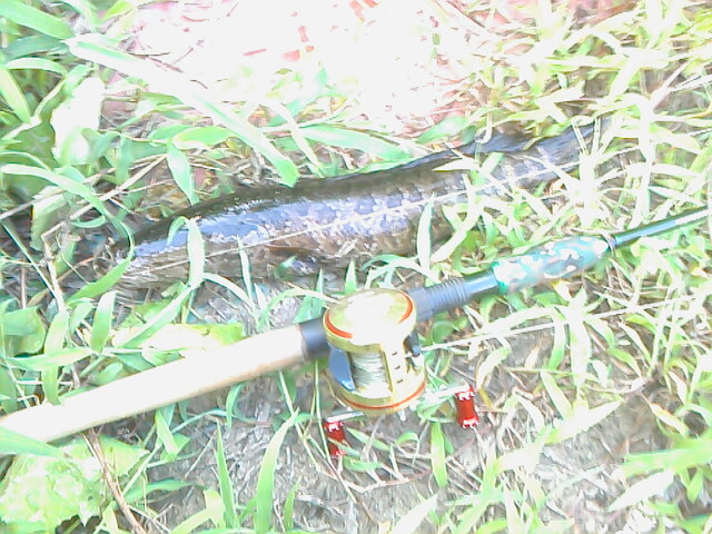 IMG0825162400.jpg